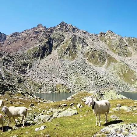 Bergkristall By Interhome Daire